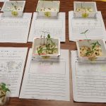 Students track plant growth through writing
